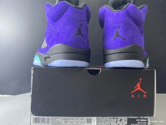 Alternate 5 Jordan Air Grape Retro 136027-500 0718